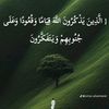 user8114758792256