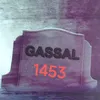 gassal14533