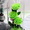 neues_leben25