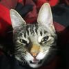 charlie02450