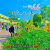 yaseensialsab804