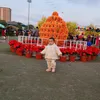 xoan.nng2