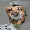 glimurti
