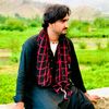hamadgull071