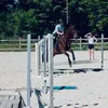 chiara7.3