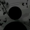 shahnum_2011