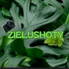ZieluShoty🌿