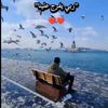sauite.abd.elghan