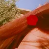 gulyy.0