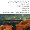 بسمة🐝bee 🦋