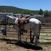 rascon.roping