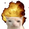 anonimfk7077