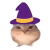 sayenk99