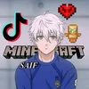 saef_776