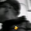 ns.nfids