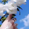 avhg_098