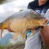 ig.swider_method_fishing