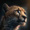 cheetah.pace