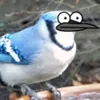 samebooksameending