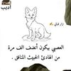 omanis241