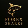 forexsharks