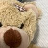 chairbear49