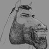 bearded_donkey1