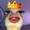 lluvv4_nauu