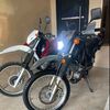 oswaldo71152