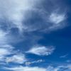 april_25047