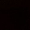 sebastin_fh