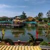 hoa.kimcuong9