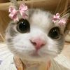 callme_rawrrrr45