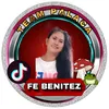 benitezfe01gmail.com