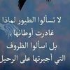 user3380563788360