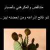 user56274697587125