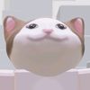 user437460062027