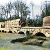 fadi17427