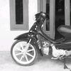 amadd169