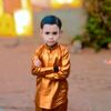 hussainraja7706