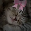 arinochka_43