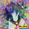 loyd_garmdon4