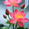 user8835619618128