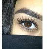 rohe_90