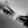 hzr_delbar