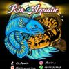 ris_aquatic95