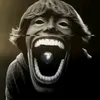 kenkaleka67