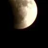 hhgg14109