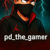 pd_the_gamer