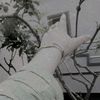 burak_jan_11